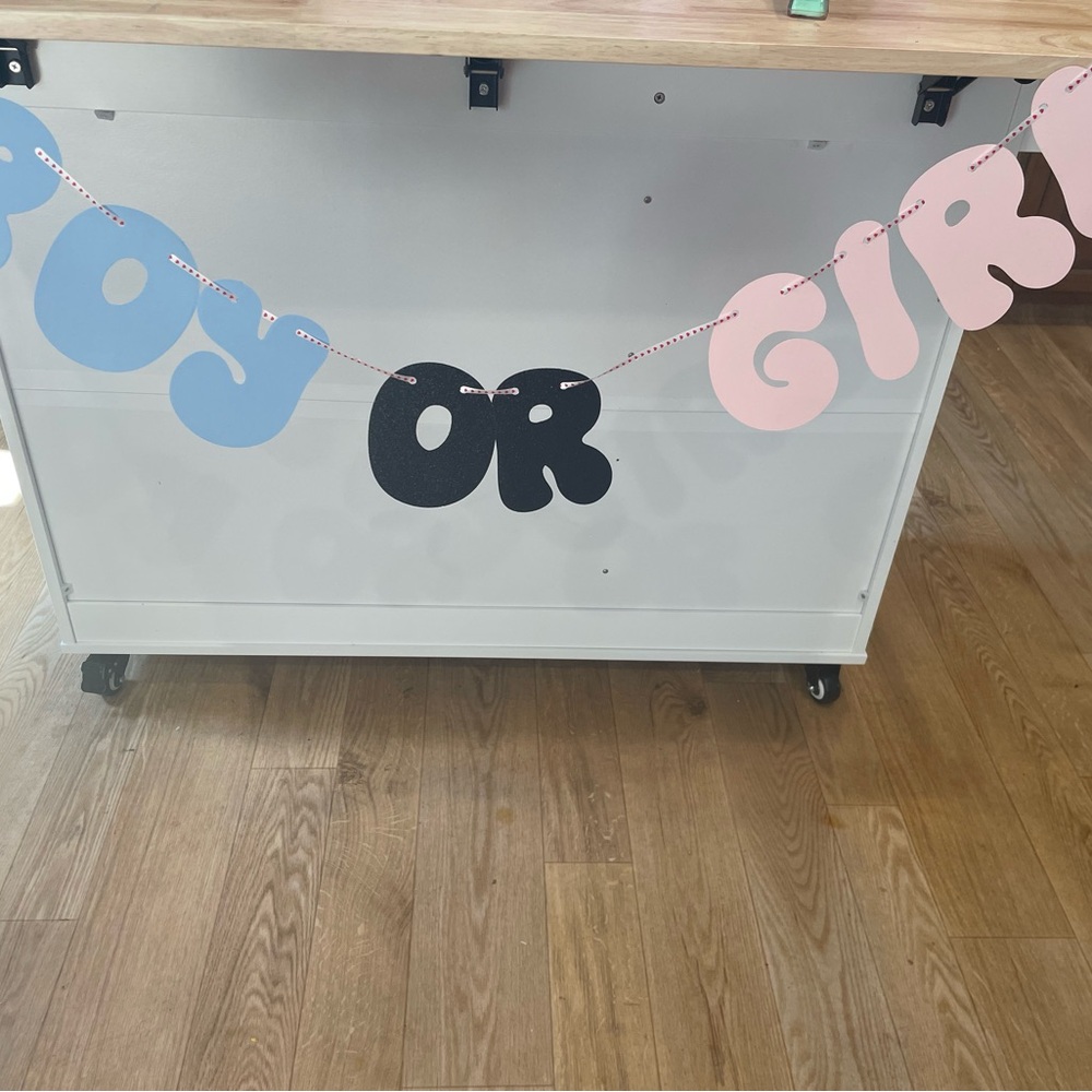 Boy or Girl Gender Reveal Banner
